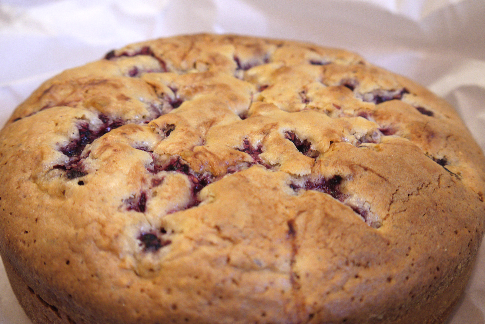 Weißer Schokoladenkuchen mit Himbeeren – Backen mit Anna